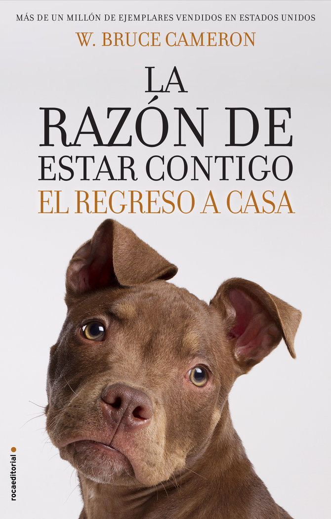 RAZON DE ESTAR CONTIGO EL REGRESO A CASALA - 9788417092887 Imagen principal del producto
