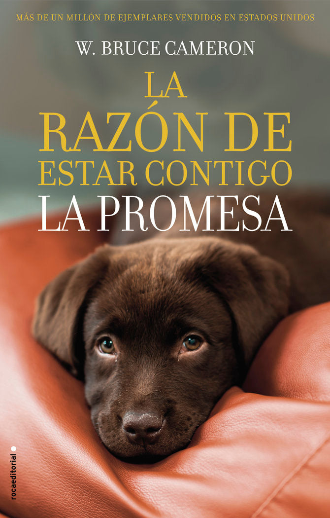 LA RAZON DE ESTAR CONTIGO LA PROMESA - 9788417167103 Imagen principal del producto