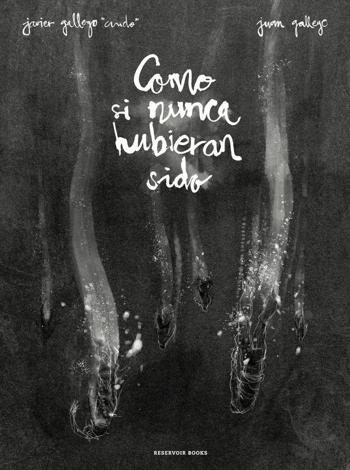 COMO SI NUNCA HUBIERAN SIDO - 9788417511036