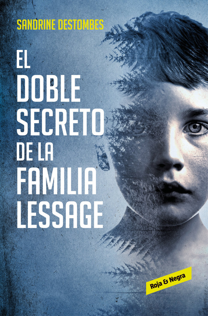 DOBLE SECRETO DE LA FAMILIA LESSAGEEL - 9788417511494