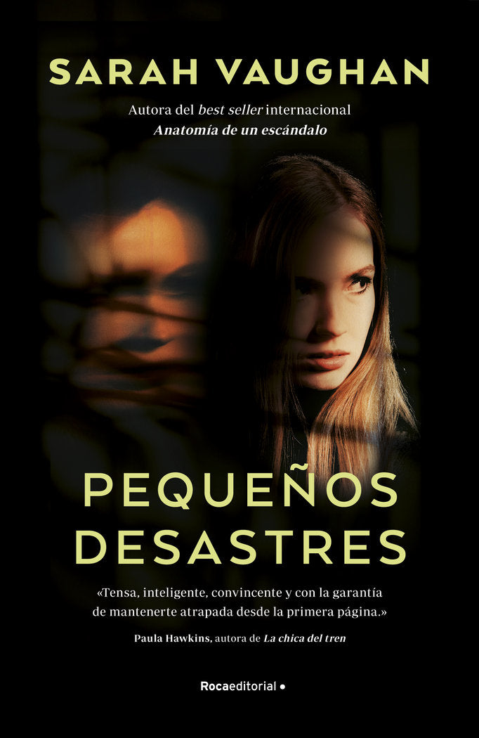 PEQUEÑOS DESASTRES - 9788417541057