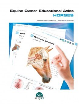 EQUINE OWNER EDUCATIONAL ATLAS HORSES - 9788417640118 Imagen principal del producto