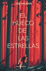 HUECO DE LAS ESTRELLASEL - 9788417800314
