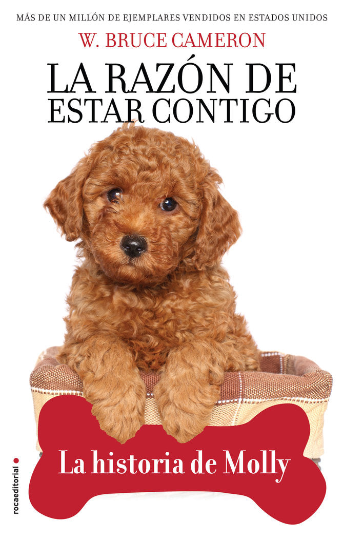 LA RAZON DE ESTAR CONTIGO LA HISTORIA DE - 9788417968007