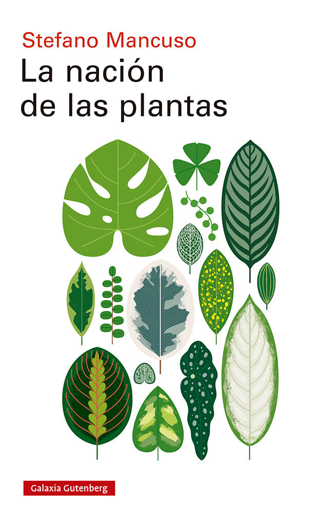 9788417971557 Imagen principal del producto