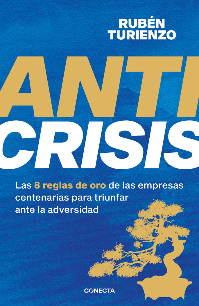 ANTICRISIS | RUBEN TURIENZO | CONECTA | 9788418053085