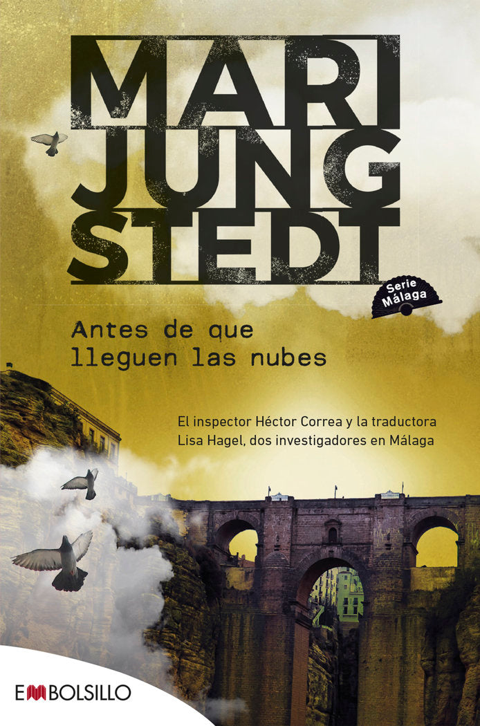 ANTES DE QUE LLEGUEN LAS NUBES - 9788418185632