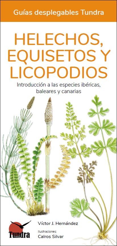 HELECHOS EQUISETOS Y LICOPODIOS - 9788418458552