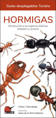 HORMIGAS GUIAS DESPLEGABLES TUNDRA - 9788418458569