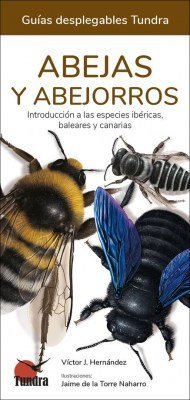ABEJAS Y ABEJORROS - 9788418458576 Imagen principal del producto