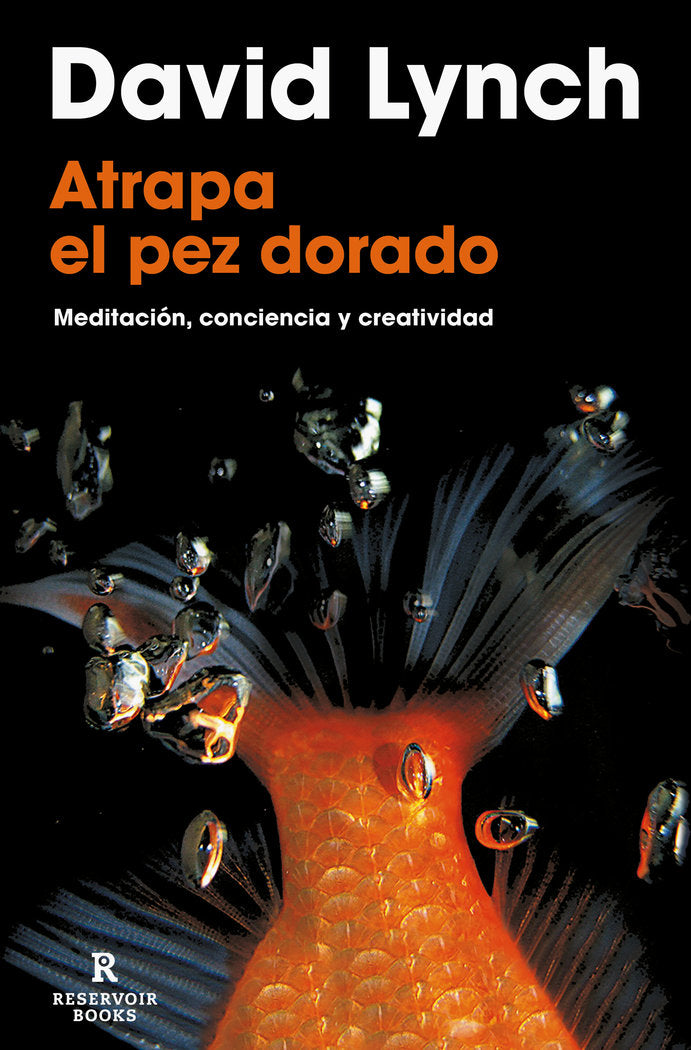 ATRAPA EL PEZ DORADO | LYNCH,DAVID | RESERVOIR BOOKS | 9788418897436