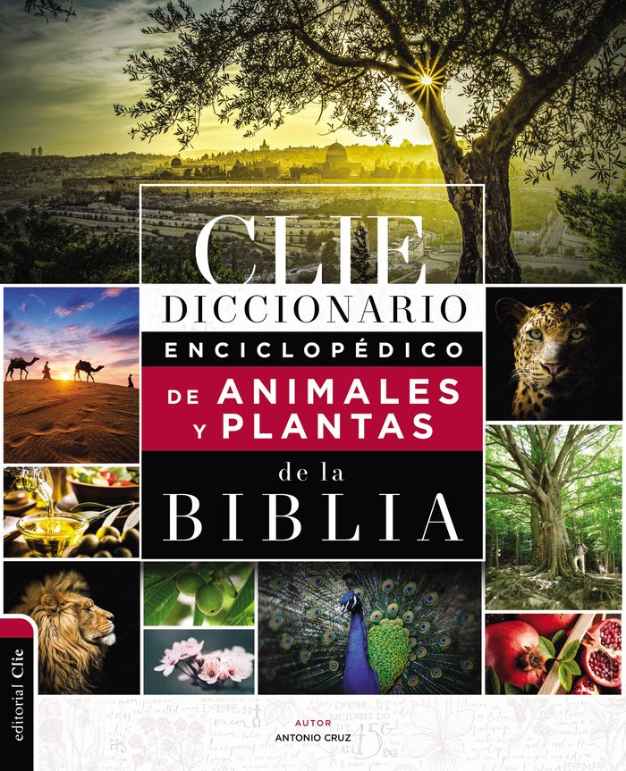 9788419055262 Imagen principal del producto