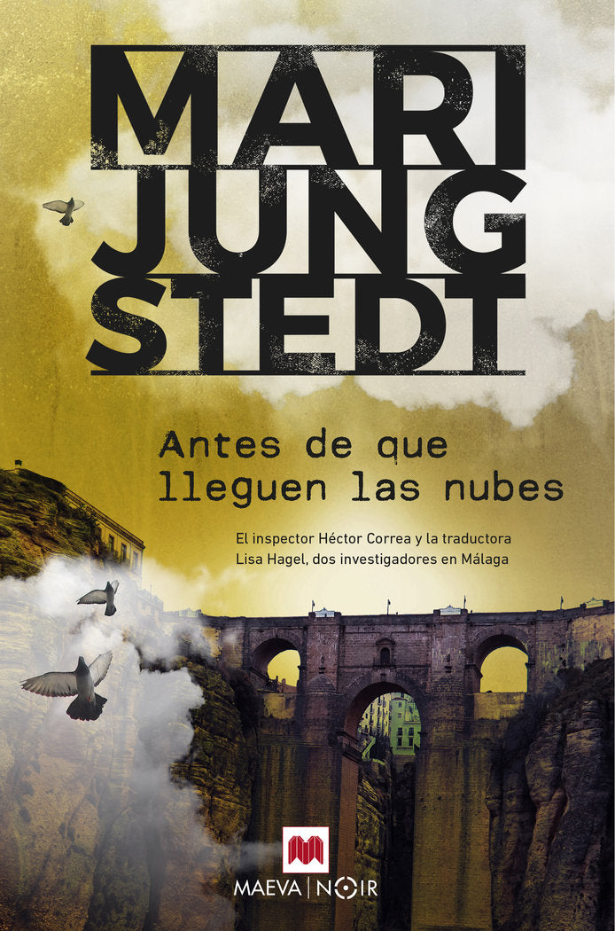 ANTES DE QUE LLEGUEN LAS NUBES - 9788419110275