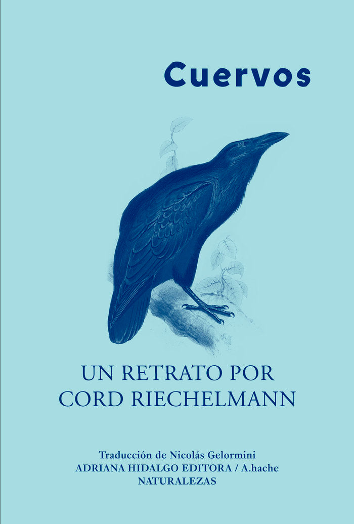 CUERVOS - 9788419208125