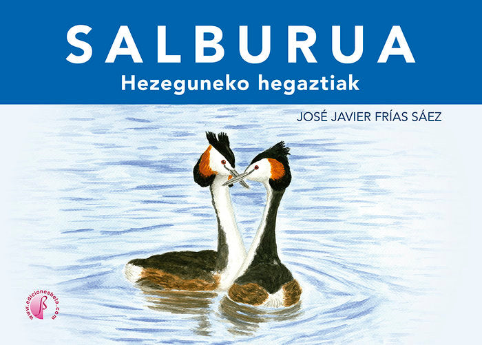 SALBURUA - 9788419227539 Imagen principal del producto