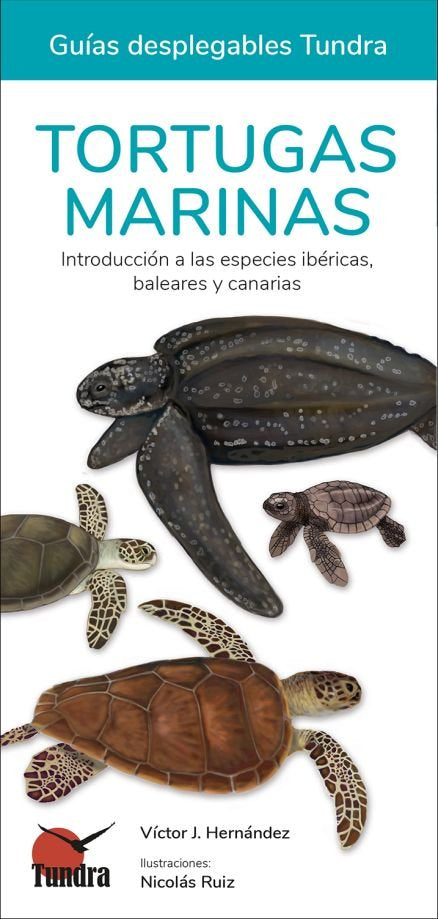 TORTUGAS MARINAS - 9788419624062