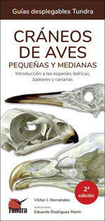 CRANEOS DE AVES PEQUEÑAS Y MEDIANAS - 9788419624635 Imagen principal del producto