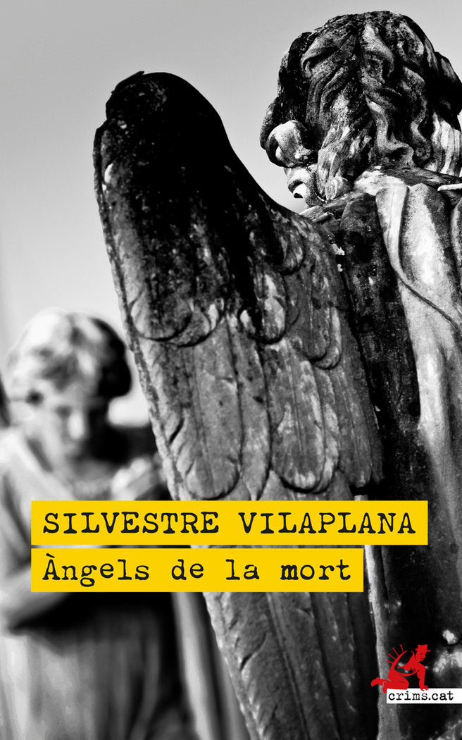 ANGELS DE LA MORT - 9788419627308