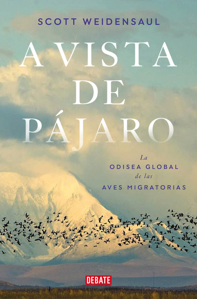 A VISTA DE PAJARO - 9788419642592 Imagen principal del producto