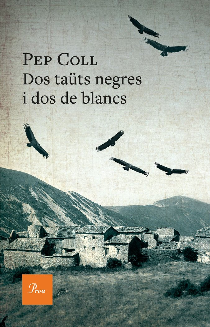 DOS TAUTS NEGRES I DOS DE BLANCS - 9788419657909
