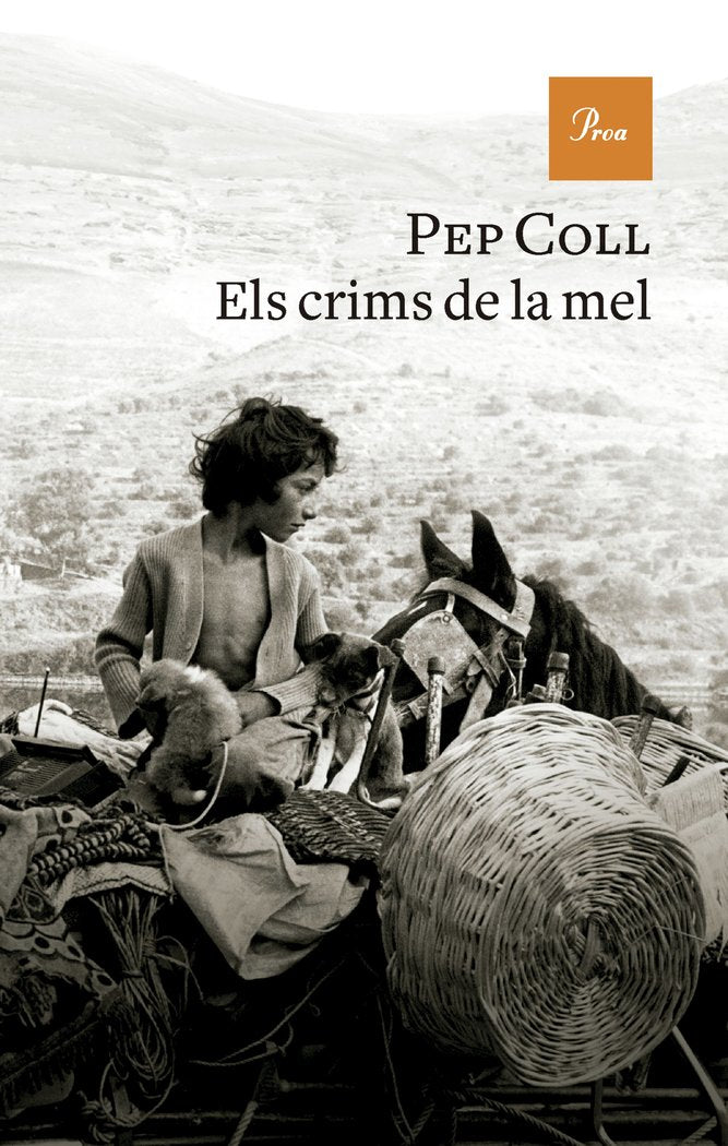 ELS CRIMS DE LA MEL - 9788419657930 Imagen principal del producto