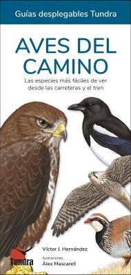 AVES DEL CAMINO - 9788419664754