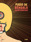 FUEGO DE BENGALA | Sanchez,david | 9788419670083 (Astiberri)