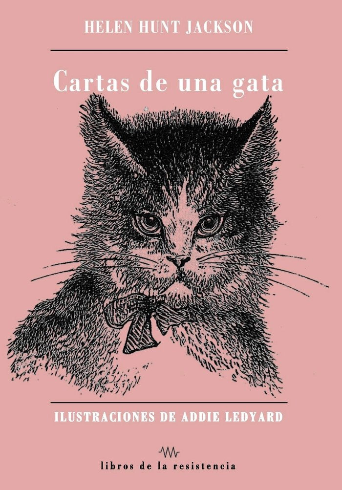 CARTAS DE UNA GATA - 9788419943095 Imagen principal del producto