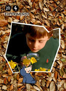 EXPERIMENTO 4ANYS CAT/BAL 10 BELLUGUETS | GASSO JIMENO, ANNA | 9788421841211 (Casals)