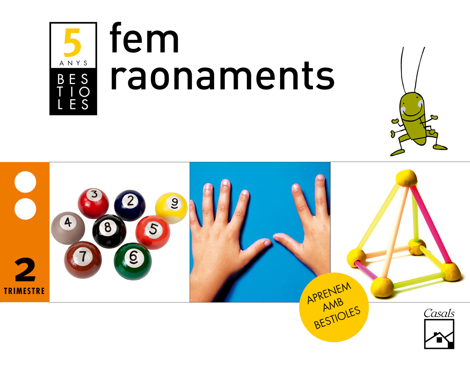 Fem raonaments 2n trimestre 5 anys. Bestioles (2012)