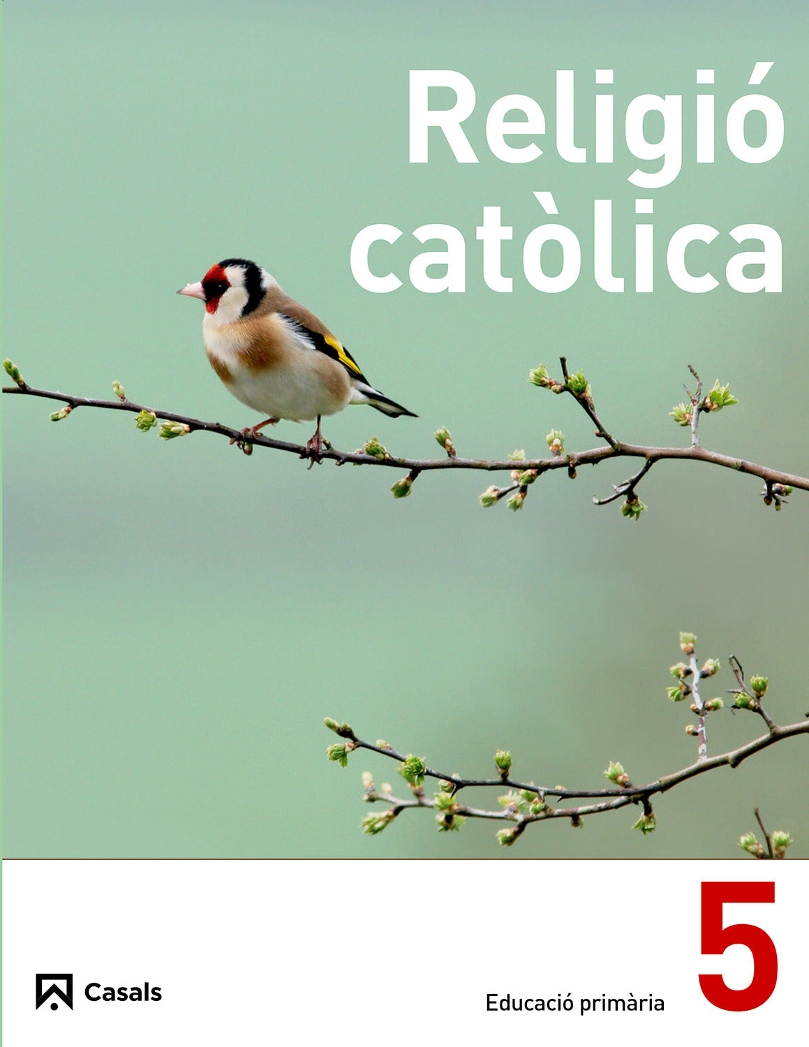 Religió Catòlica 5 Primària (2013)