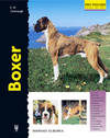BOXER EXCELLENCE - 9788425512933 Imagen secundaria del producto