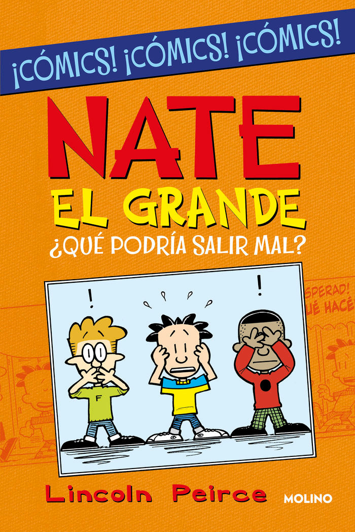 ¿QUÉ PODRÍA SALIR MAL? (NATE EL GRANDE [CÓMIC]) I Peirce, Lincoln I Molino I 9788427223219