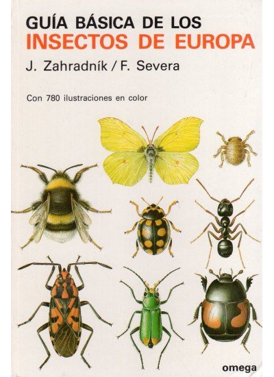 GUIA BASICA INSECTOS - 9788428206419