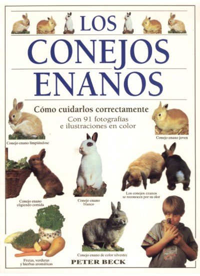 CONEJOS ENANOSLOS - 9788428211017 Imagen principal del producto