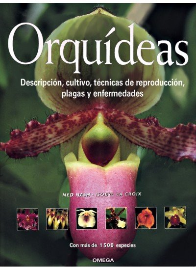 ORQUIDEAS - 9788428211307
