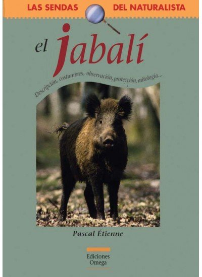 JABALI - 9788428213929