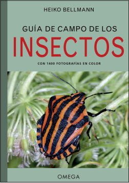 GUIA DE CAMPO DE LOS INSECTOS - 9788428217156 Imagen principal del producto