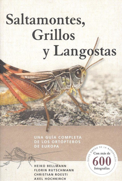 SALTAMONTES GRILLOS Y LANGOSTAS - 9788428217279
