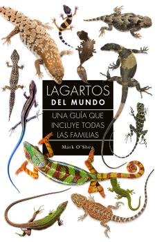 LAGARTOS DEL MUNDO UNA GUIA QUE INCLUYE TODAS LAS FAMILIAS - 9788428217378 Imagen principal del producto