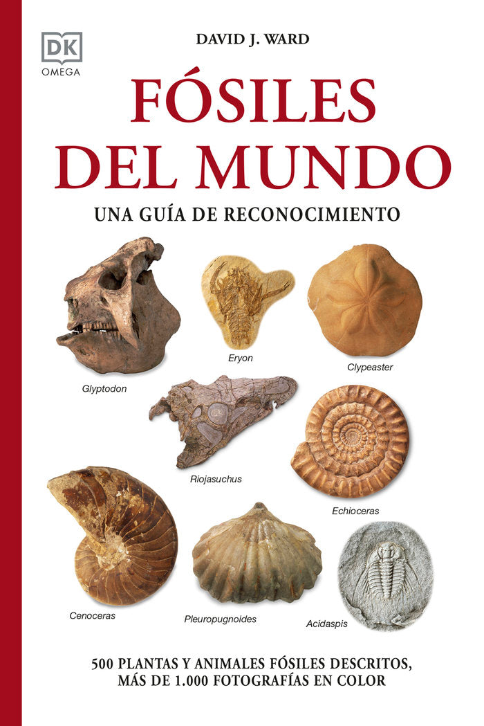 FOSILES DEL MUNDO - 9788428217569