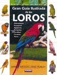 GRAN GUIA ILUSTRADA DE LOS LOROS - 9788430536900 Imagen principal del producto