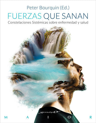 FUERZAS QUE SANAN | BOURQUIN,PETER | DESCLEE DE BROUWER EDITORIAL | 9788433029218