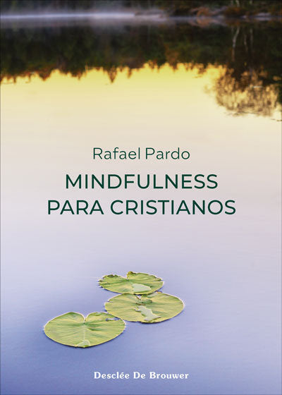 MINDFULNESS PARA CRISTIANOS - 9788433031860 Imagen principal del producto