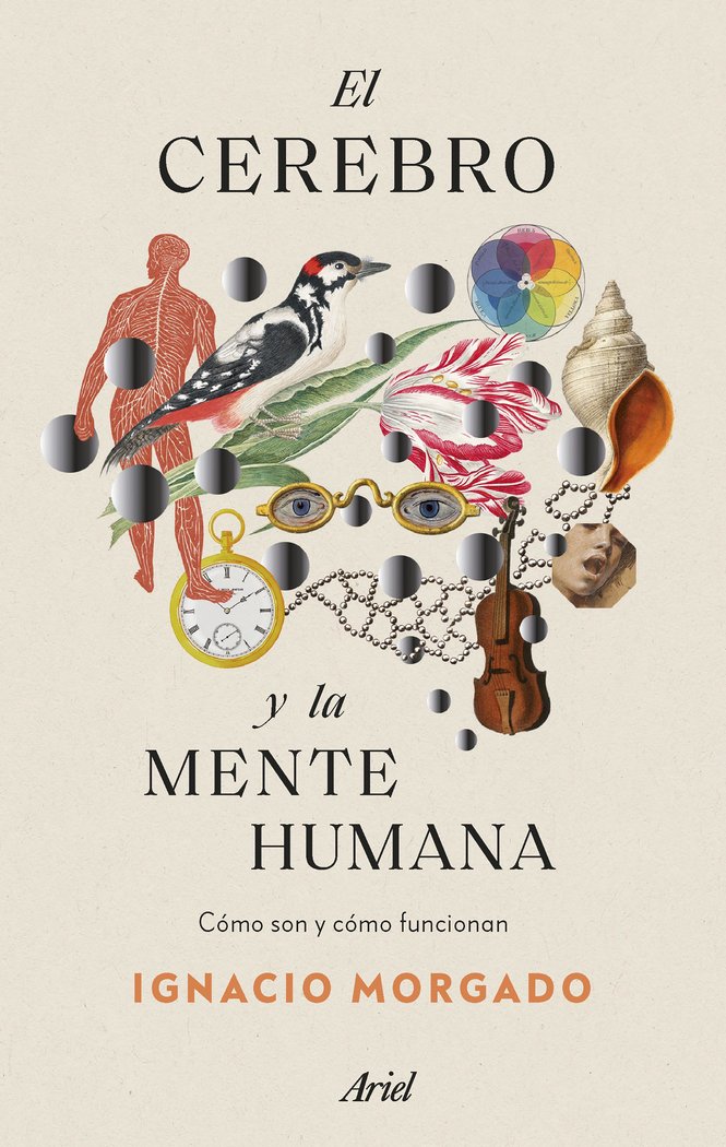 EL CEREBRO Y LA MENTE HUMANA | IGNACIO MORGADO | ARIEL | 9788434435988 Imagen principal del producto