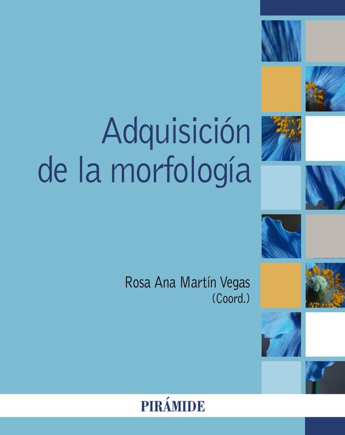ADQUISICION DE LA MORFOLOGIA | MARTIN VEGAS, ROSA ANA | PIRAMIDE | 9788436847727 Imagen principal del producto