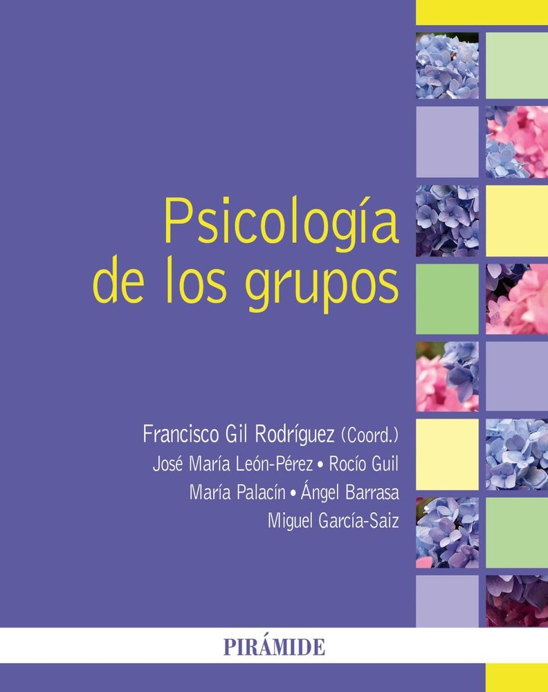 PSICOLOGIA DE LOS GRUPOS | GIL RODRIGUEZ, FRANCISCO/LEON PEREZ, JOS | PIRAMIDE | 9788436850925