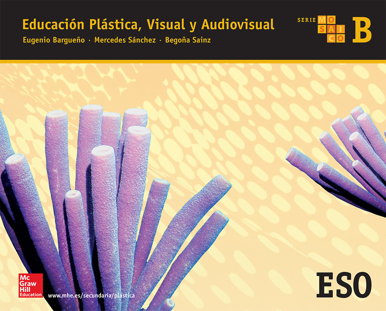 Educacion Plastica, Visual y Audiovisual B. Serie Mosaico.. Aa. Vv. (McGraw-Hill Interamericana de España S.L.) 9788448607784