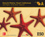 Educacio Plastica, Visual i Audiovisual A. Mosaic.. Aa. Vv. (McGraw-Hill Interamericana de España S.L.) 9788448607821
