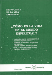COMO ES LA VIDA EN EL MUNDO ESPIRITUAL - 9788460089018